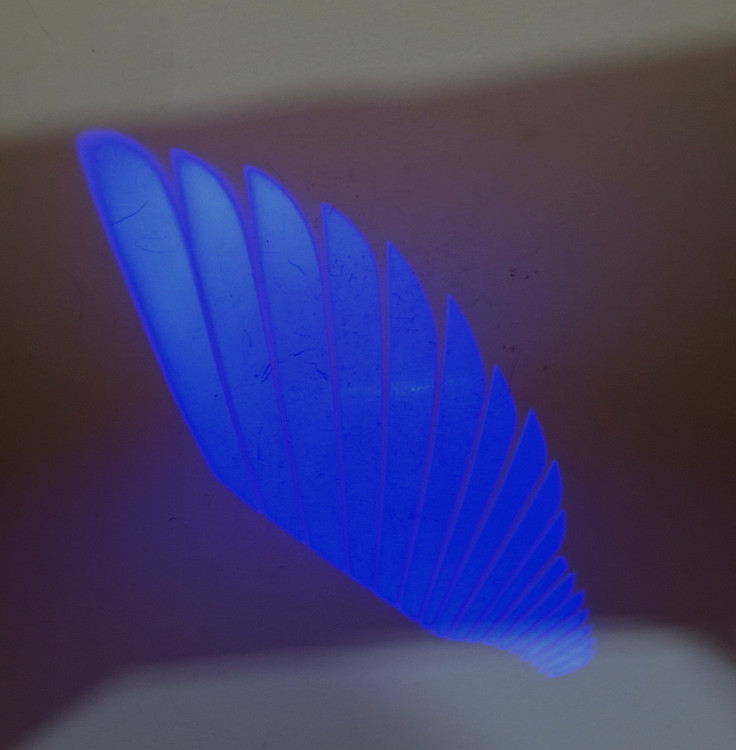 ولکام لایت ماشین و موتور مدل بال آبی